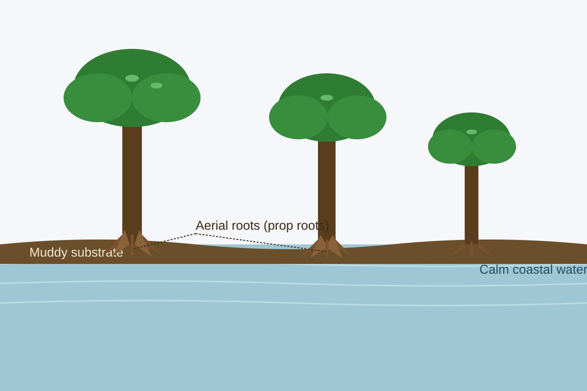 Source Image for Q11 (SEC2 Geography)