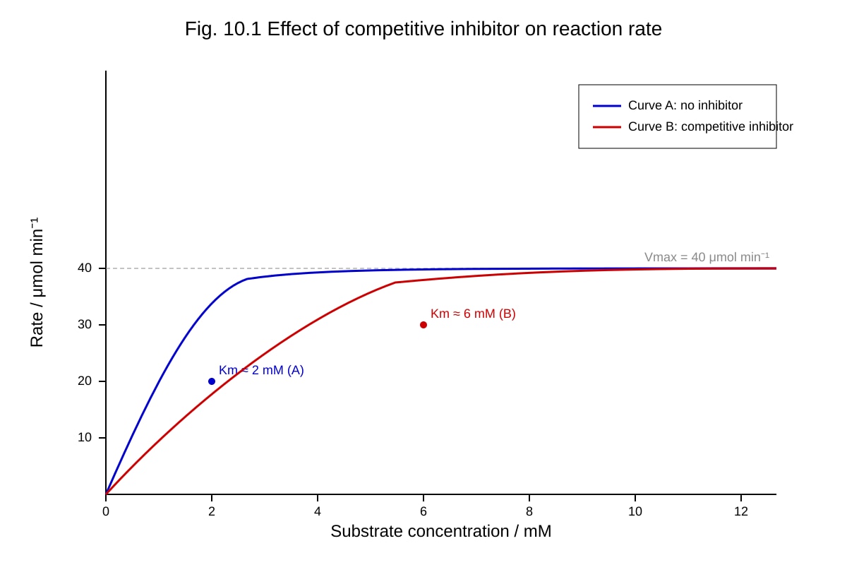 Graph for Q10 (ALEVEL Biology H2)