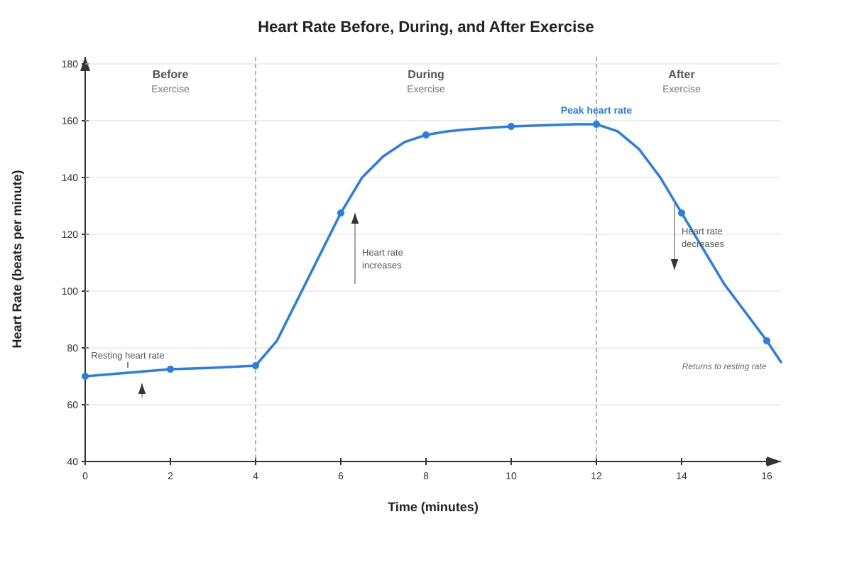 Graph for placeholder 2 (P5 Science)