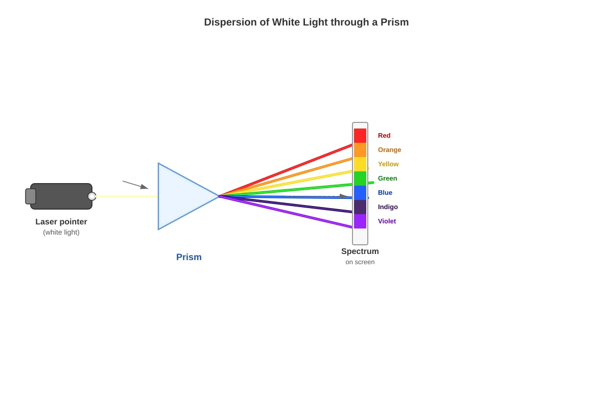 Diagram for Q20 (P4 Science)
