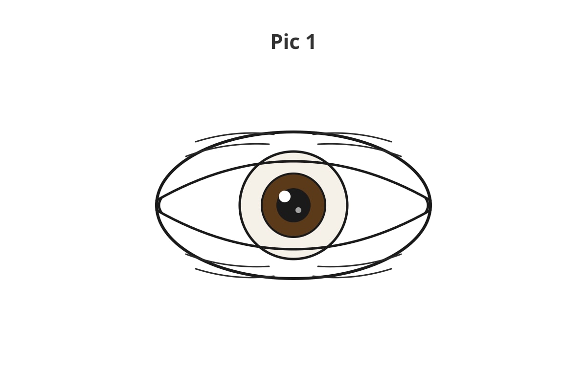 Figure for Q13 (P1 Tamil)