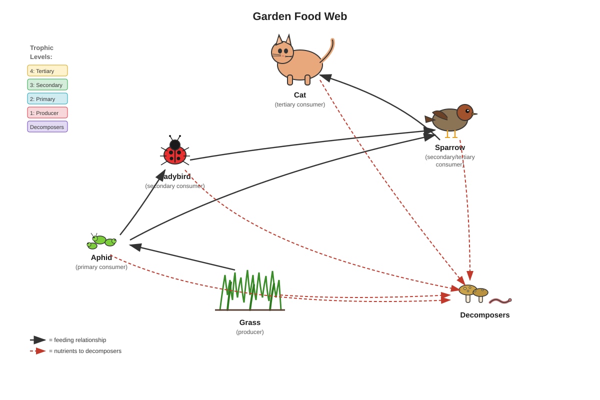 Diagram for Q29 (P6 Science)