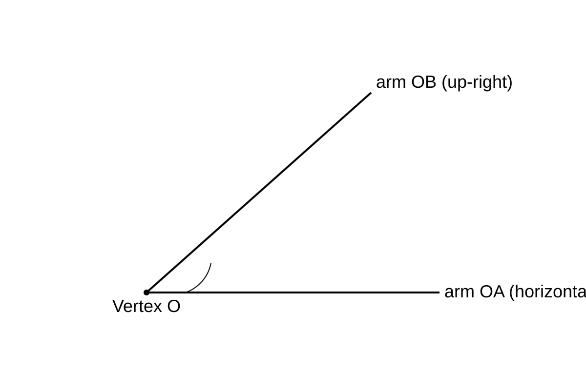Diagram for Q11 (P4 Maths)