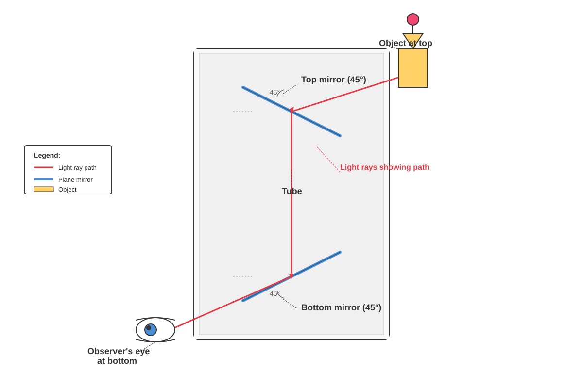 Diagram for Q16 (P5 Science)