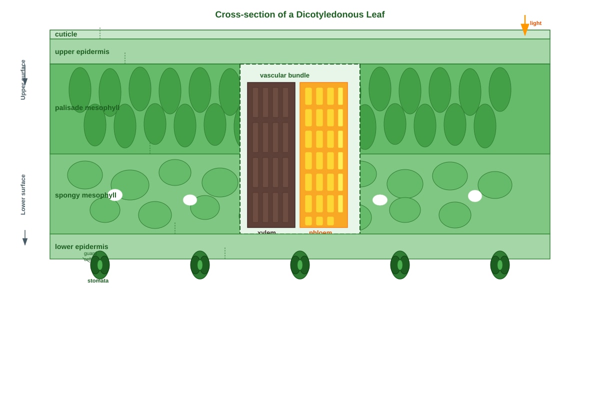 Diagram for Q13 (SEC1 Science)
