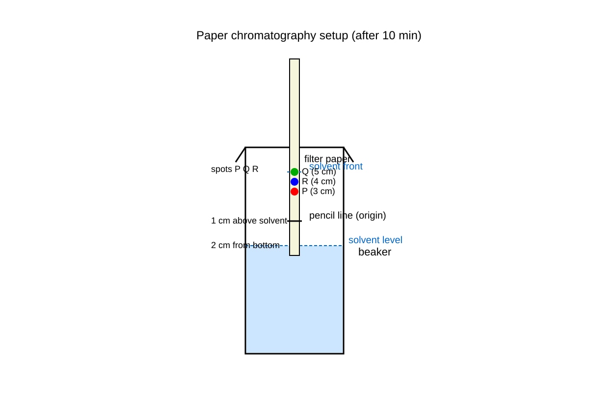 Diagram for Q11 (SEC3 Combined Science)