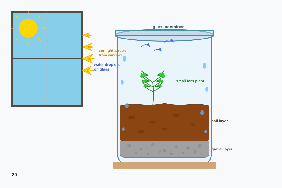 Diagram for Q20 (P6 Science)
