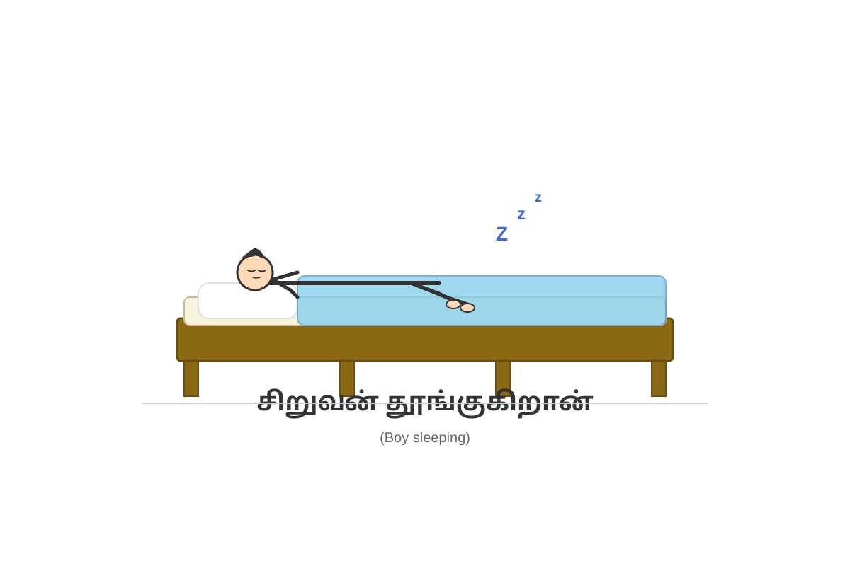 Diagram for Q20 (P1 Tamil)