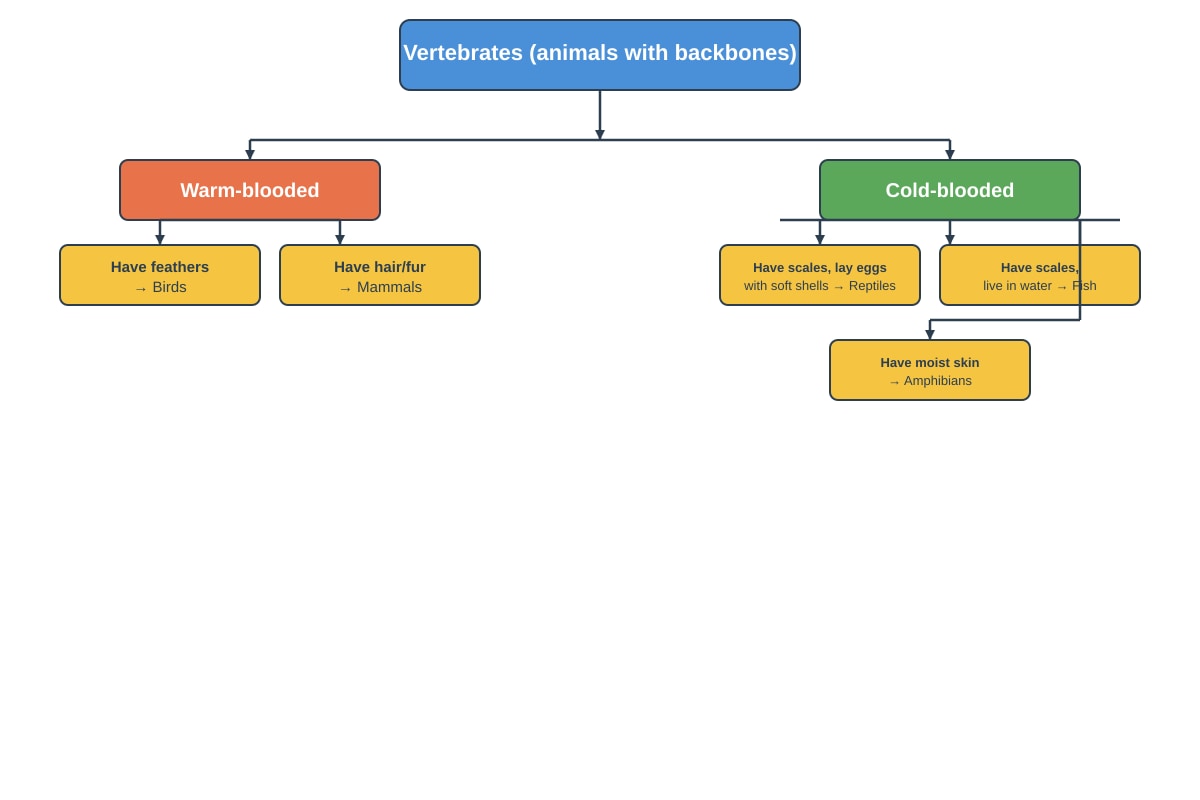 Diagram for Q12 (P4 Science)
