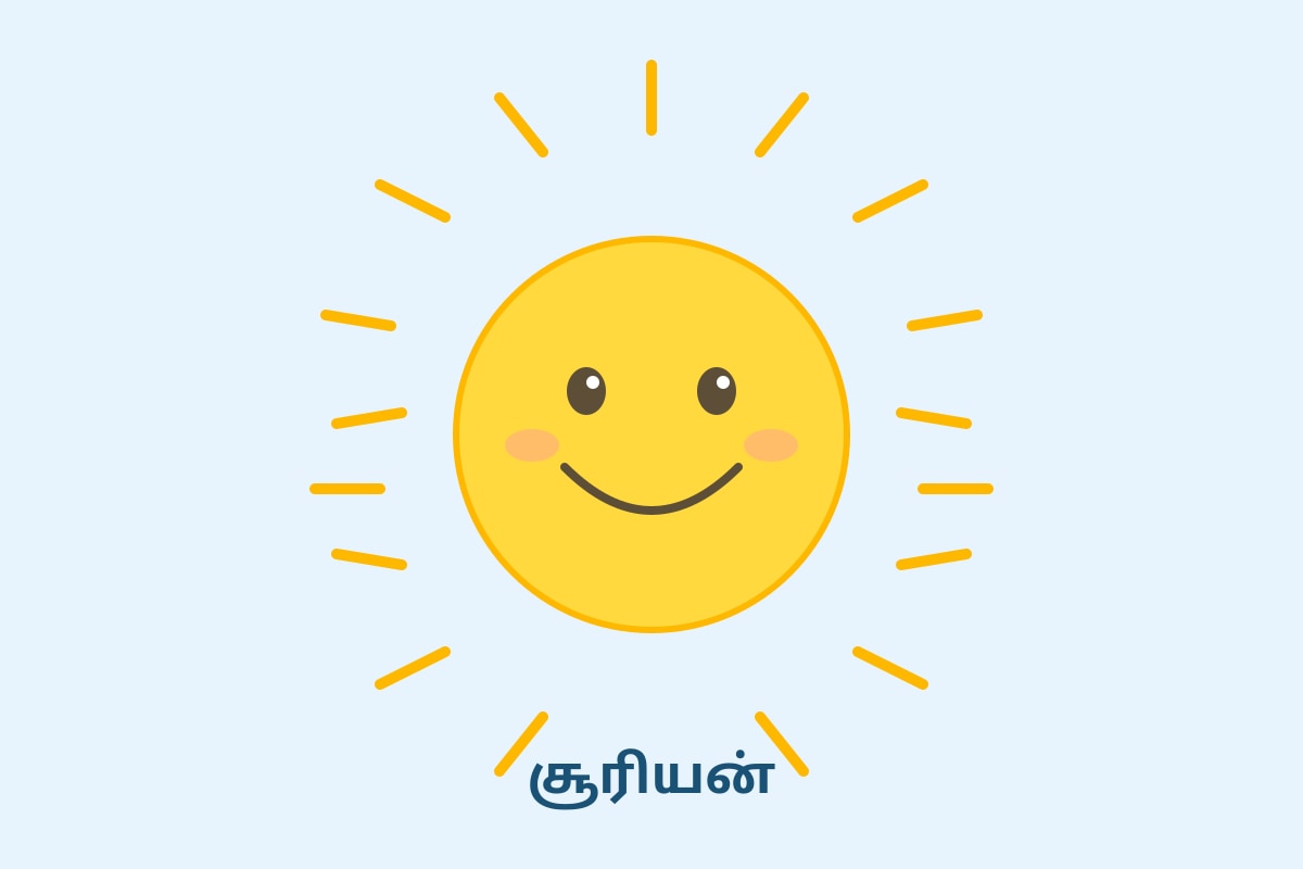 Picture for Q5 (P3 Tamil)