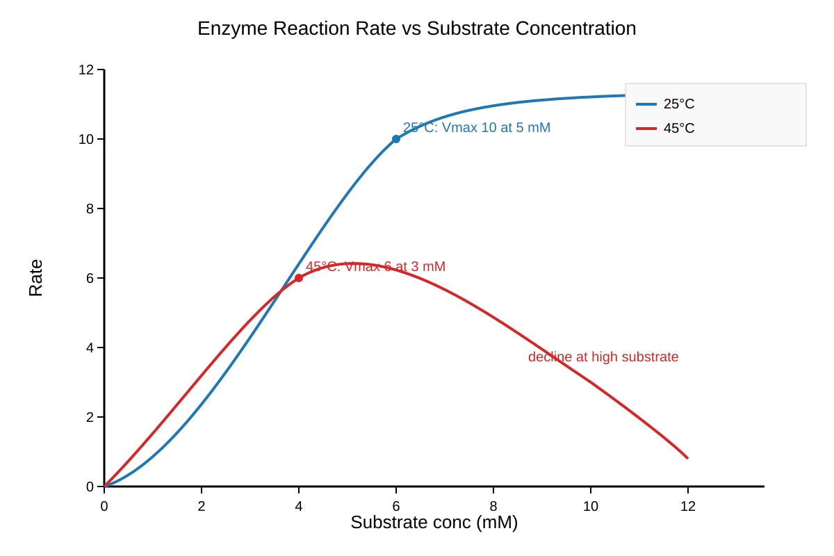 Graph for Q15 (ALEVEL Biology H1)
