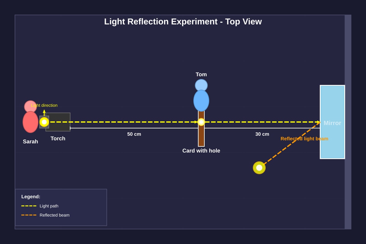 Experimental Setup for Q17 (P4 Science)