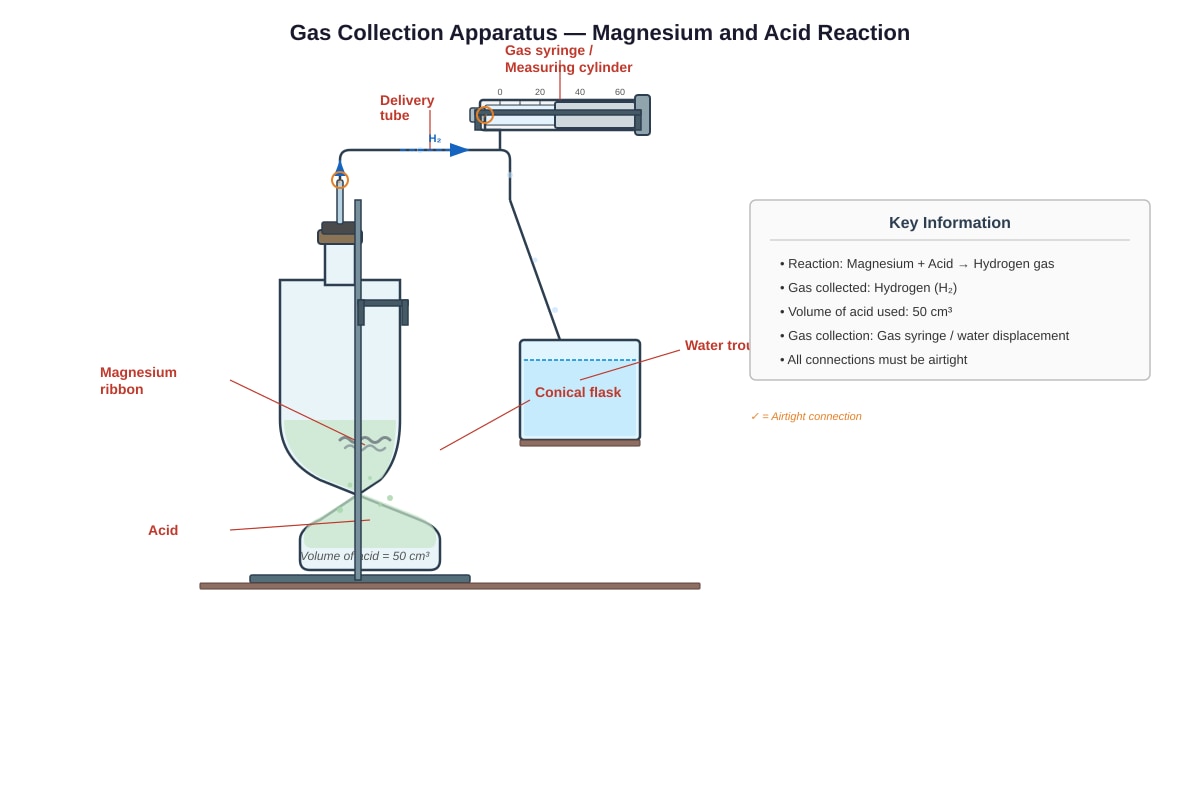 Experimental Setup for Q19 (SEC2 Science)