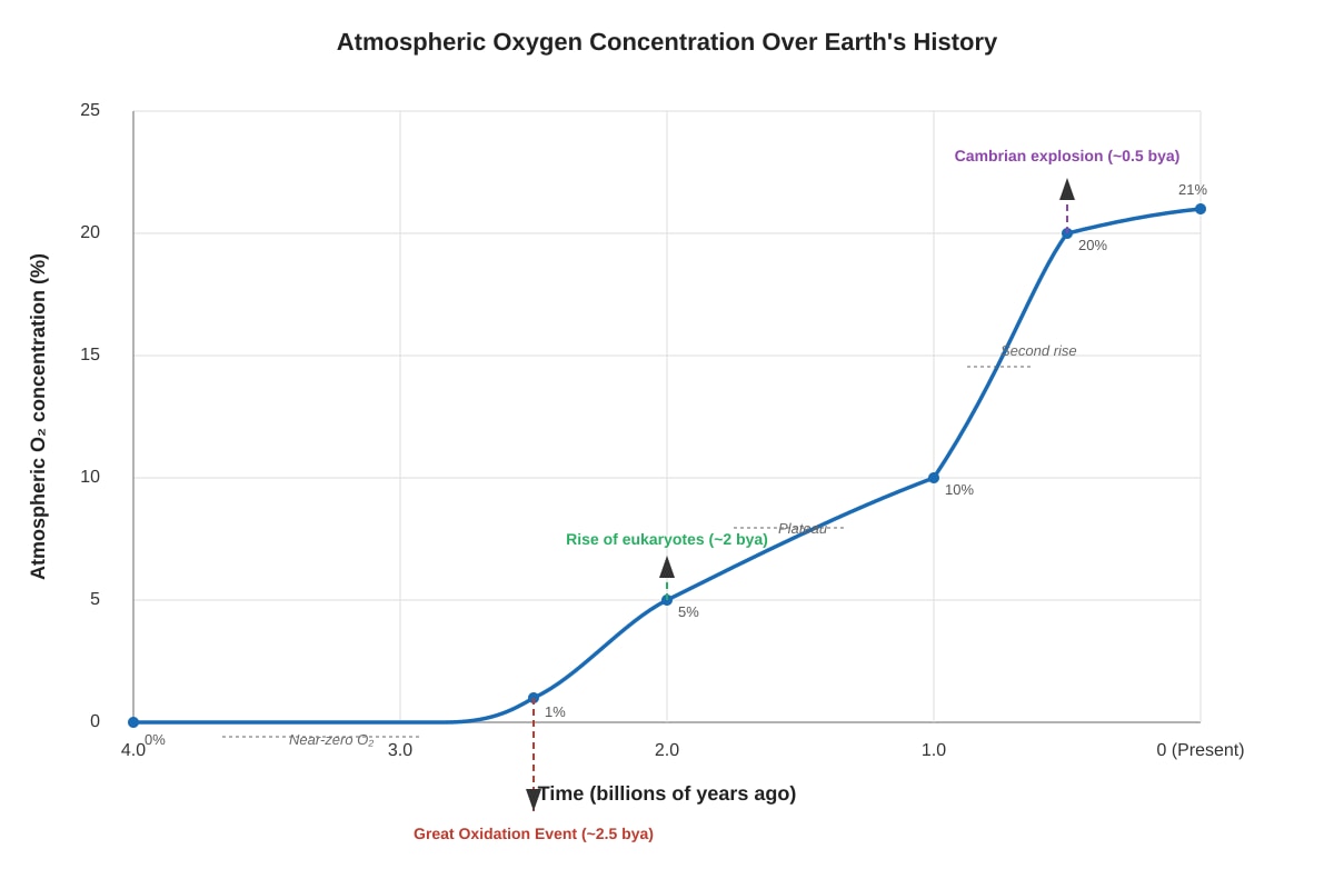 Graph for Q13 (ALEVEL Biology H3)