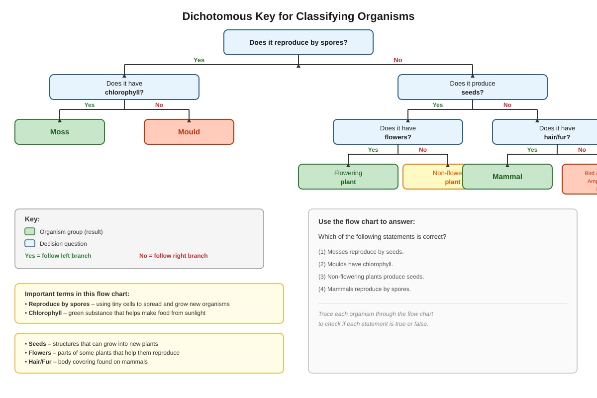 Flowchart for Q2 (P5 Science)