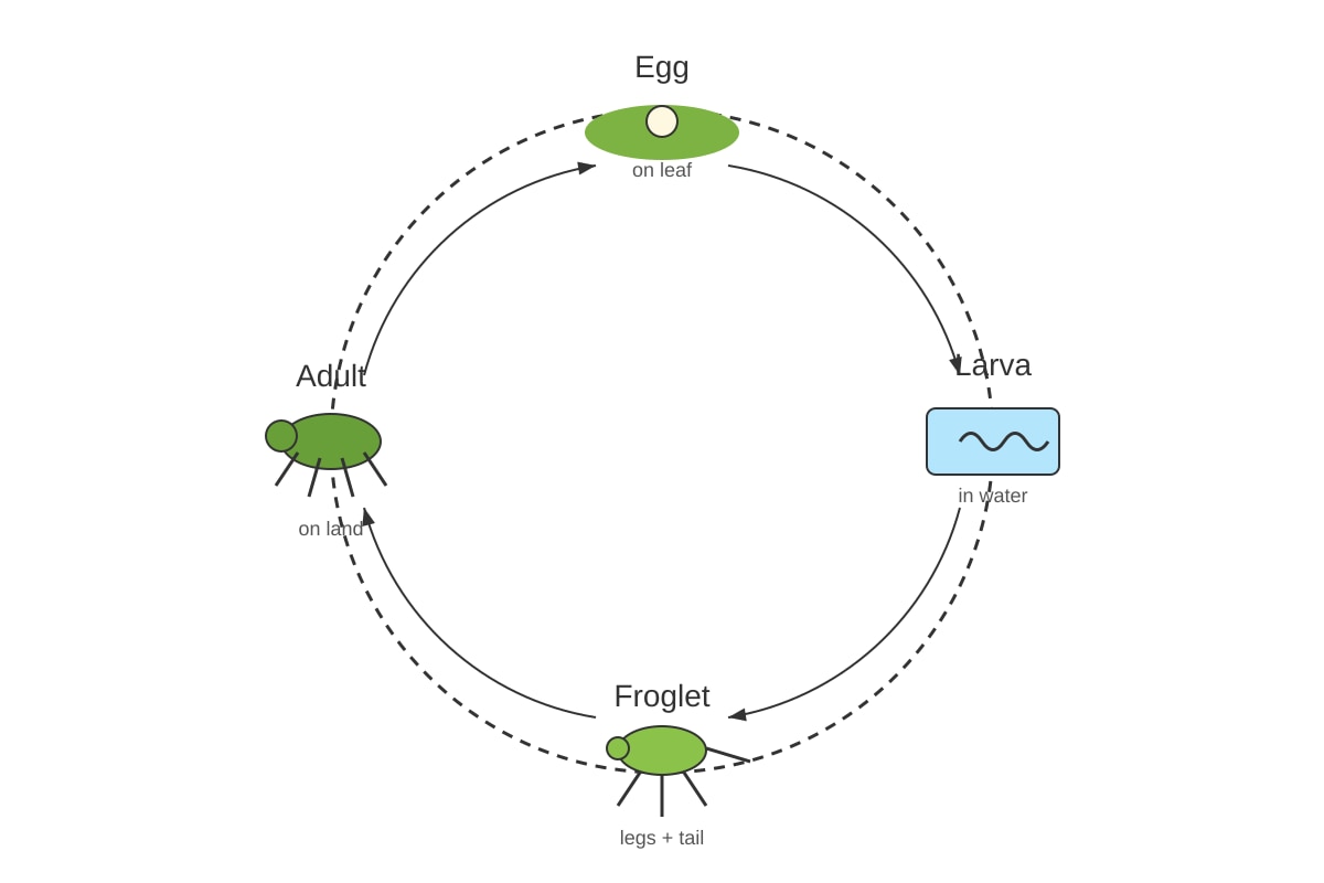 Diagram for Q15 (P3 Science)