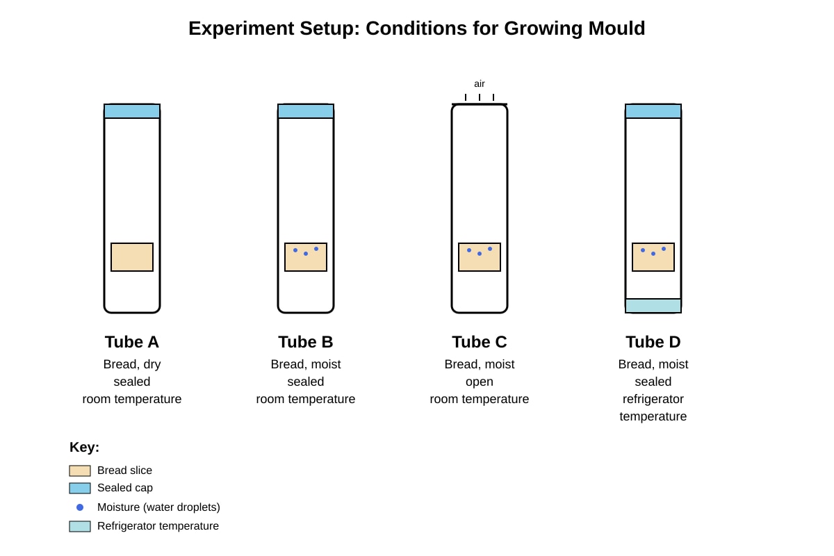 Experimental Setup for Q13 (P5 Science)