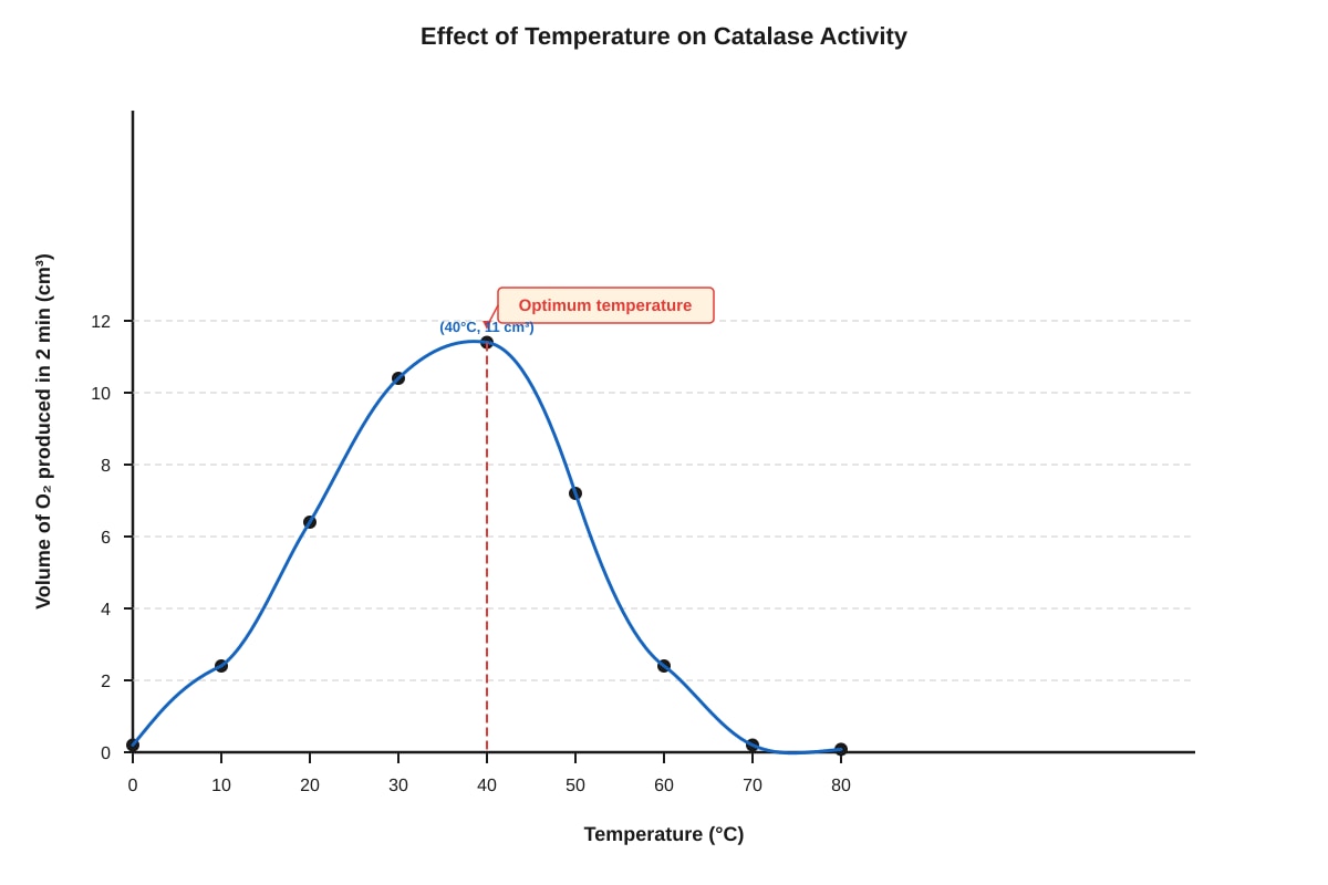 Graph for Q12 (SEC3 Biology)