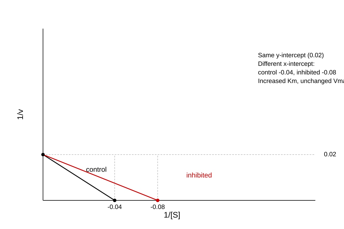 Graph for Q10 (ALEVEL Biology H2)