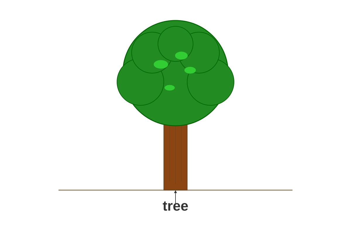 Picture for Q17 (P1 English)