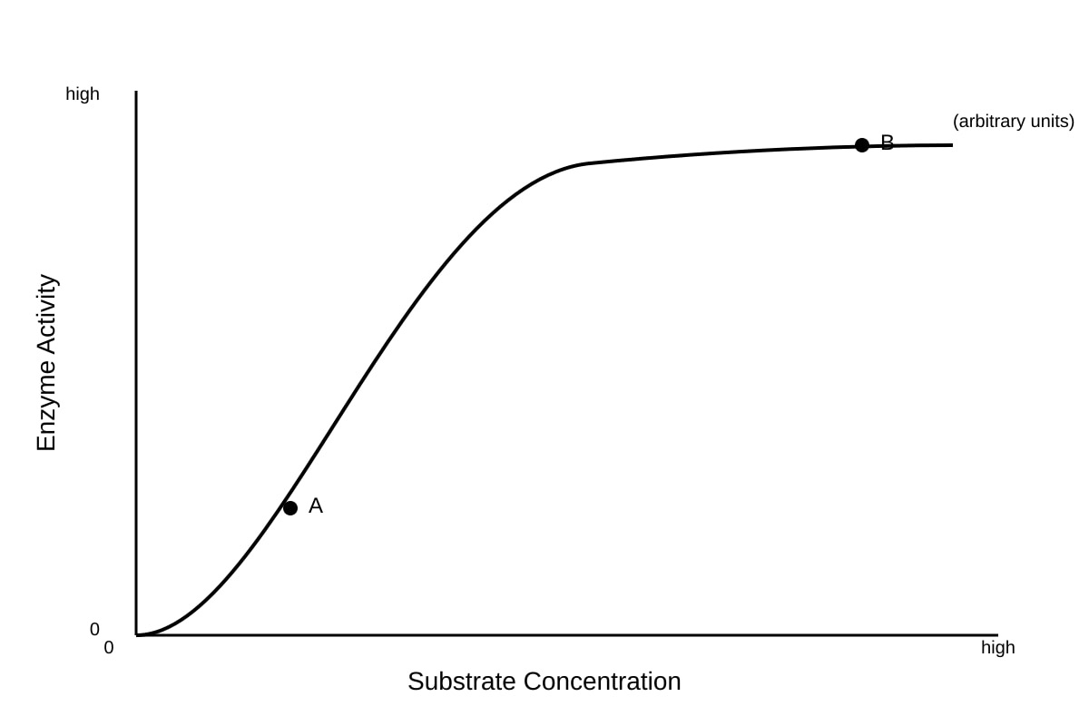 Graph for Q12 (SEC3 Combined Science)