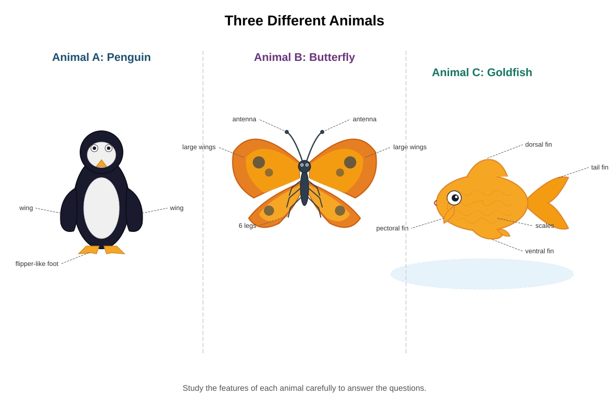 Diagram for Q12 (P4 Science)