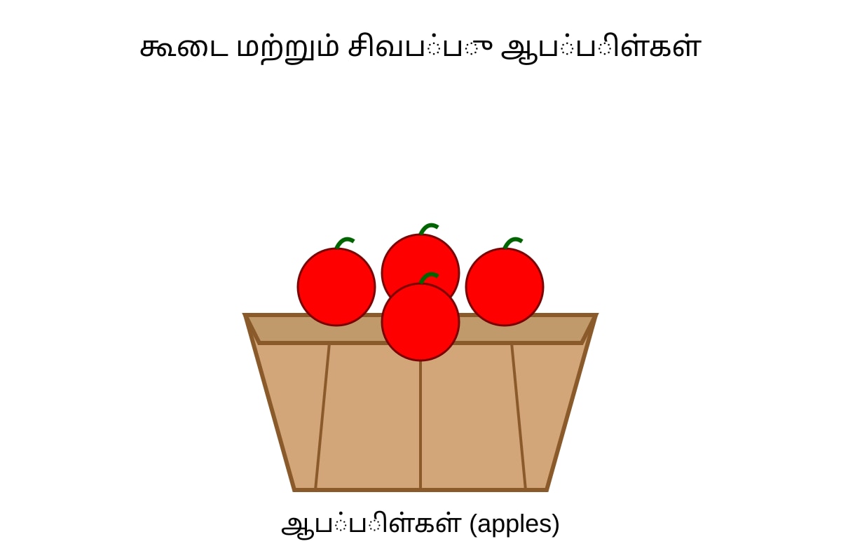 Diagram for Q17 (P1 Tamil)
