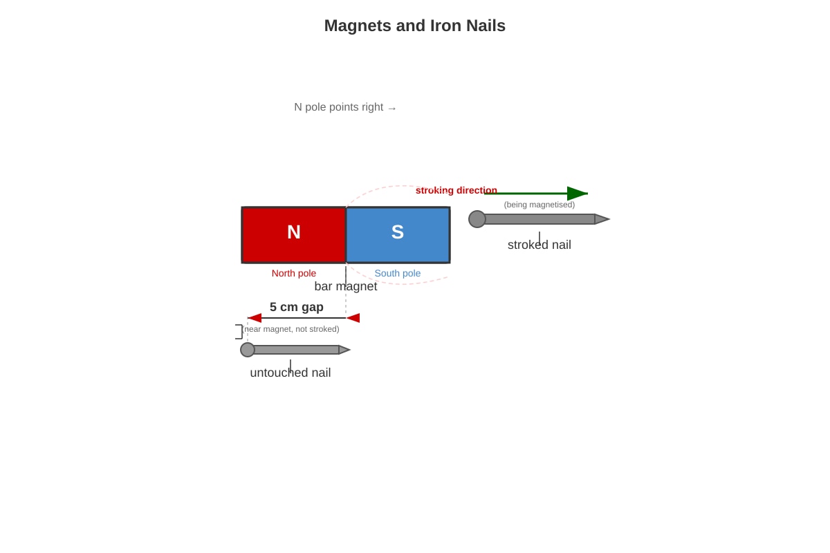 Diagram for Q1 (P6 Science)