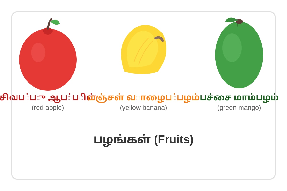 Diagram for Q17 (P1 Tamil)