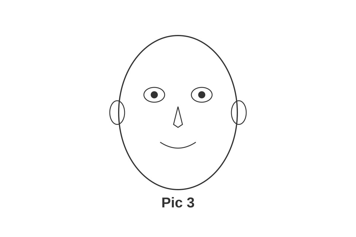 Image for Q6-img3 type: figure linked_question: Q6 description: Outline of a human face labels: Pic 3 values: none must_show: Clear face shape with eyes, nose, mouth (P1 Tamil)