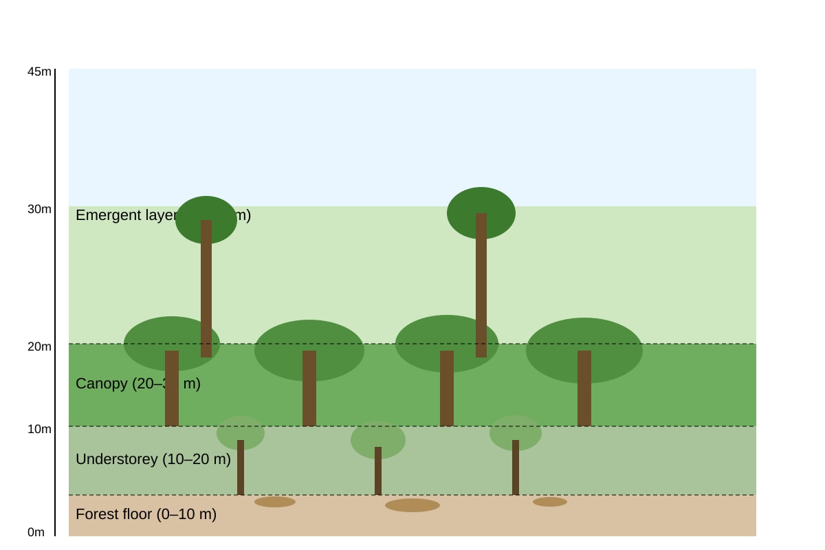 Diagram for Q6 (SEC2 Geography)