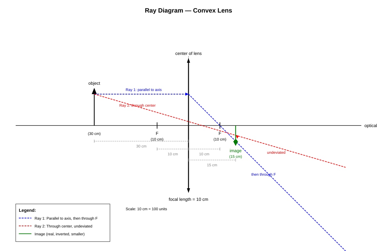 Diagram for Q16 (P6 Science)