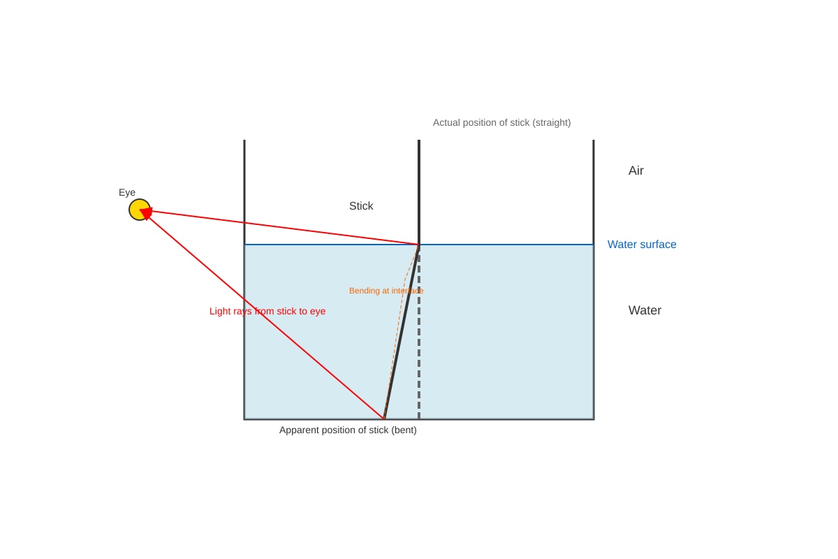 Diagram for Q14 (P6 Science)