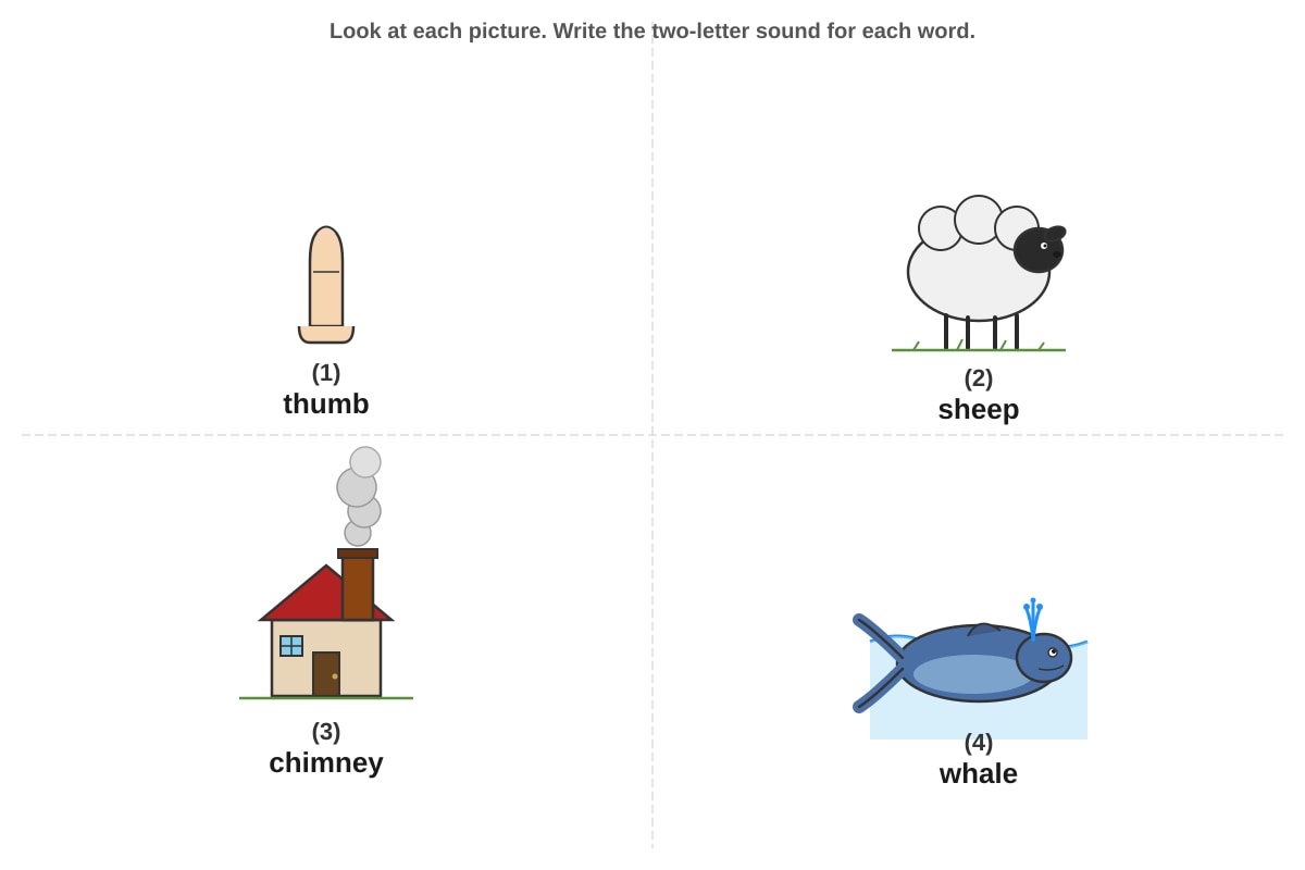 Diagram for Q23 (P2 English)
