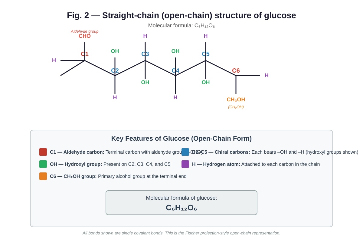 Diagram for Q7 (ALEVEL Biology H1)