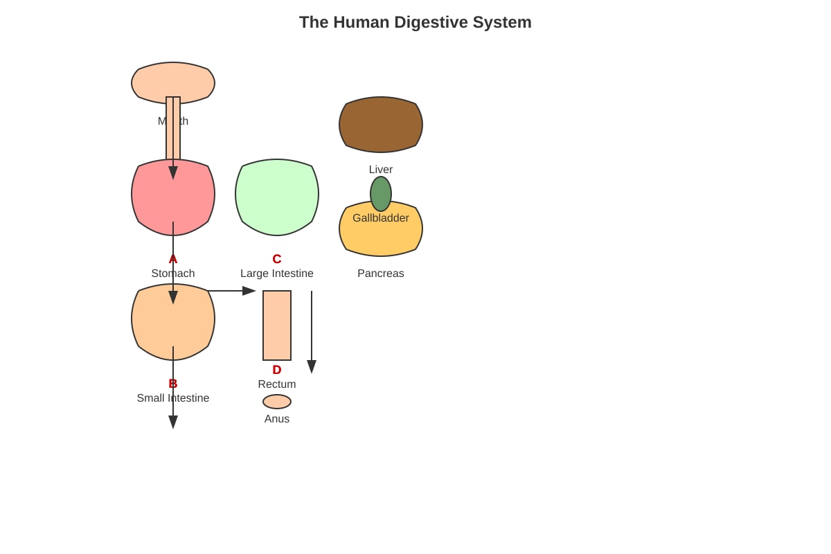 Diagram for placeholder 4 (SEC1 Science)