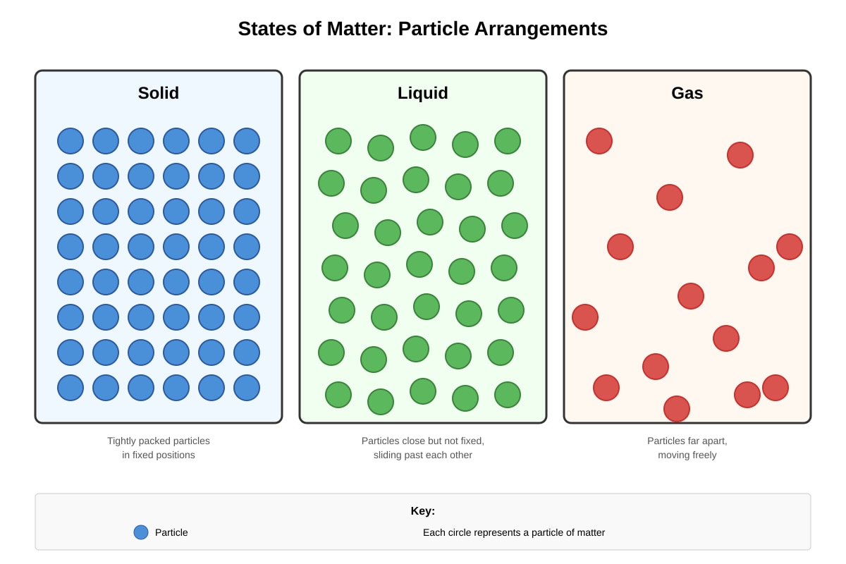 Diagram for Q2 (P5 Science)