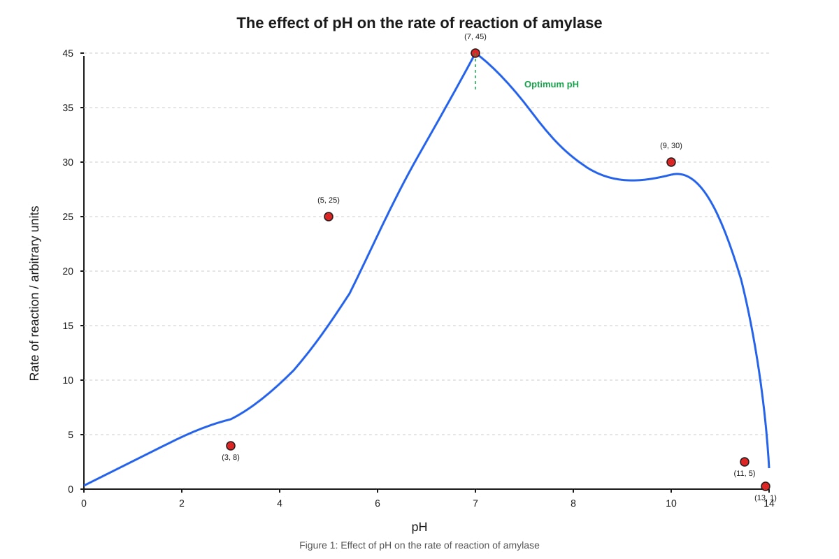 Graph for Q5 (SEC3 Biology)