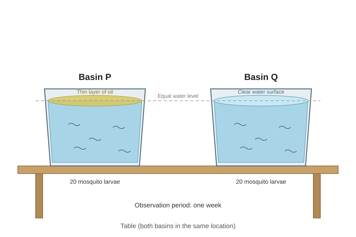 Experimental Setup for Q17 (P4 Science)
