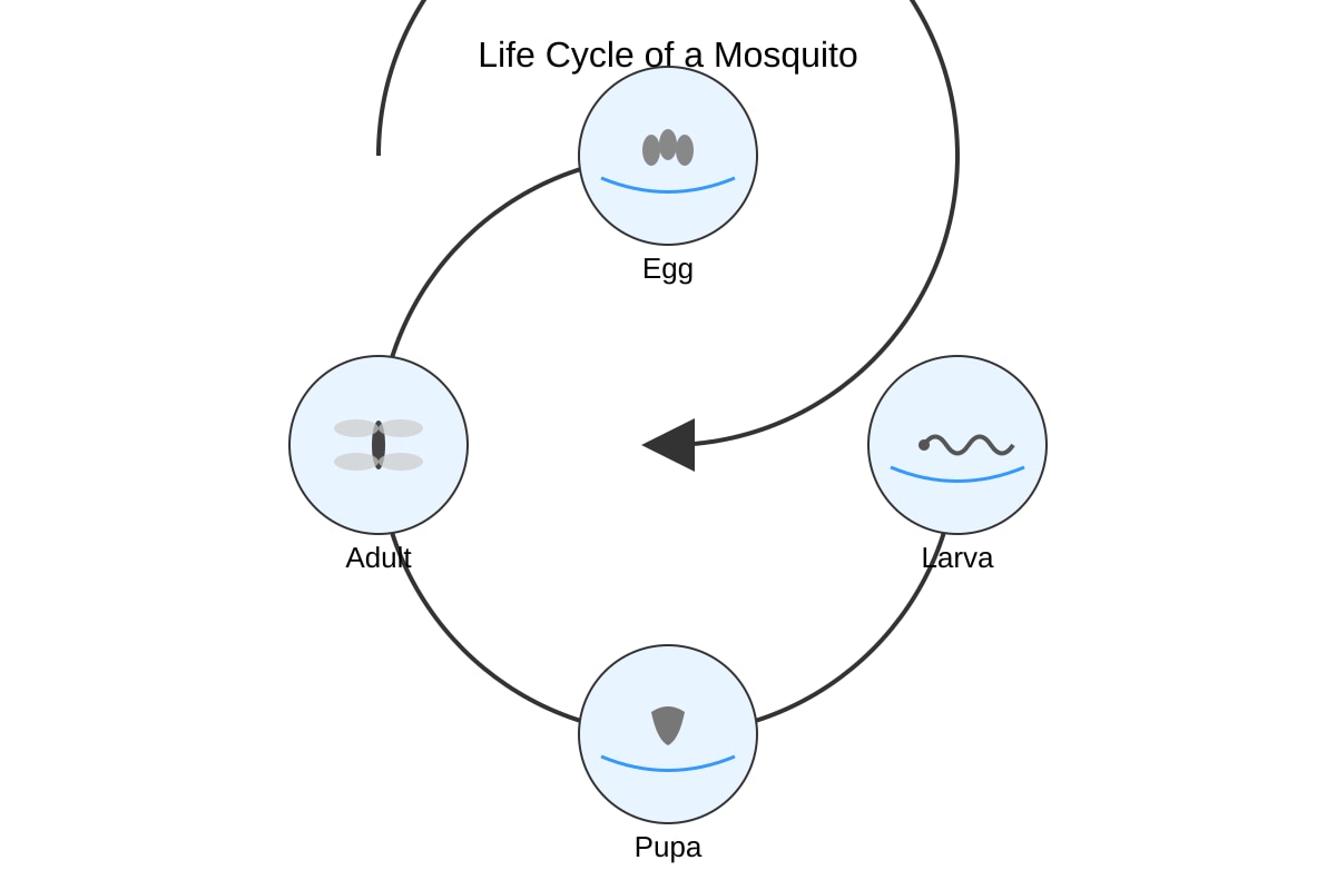 Diagram for Q4 (P6 Science)