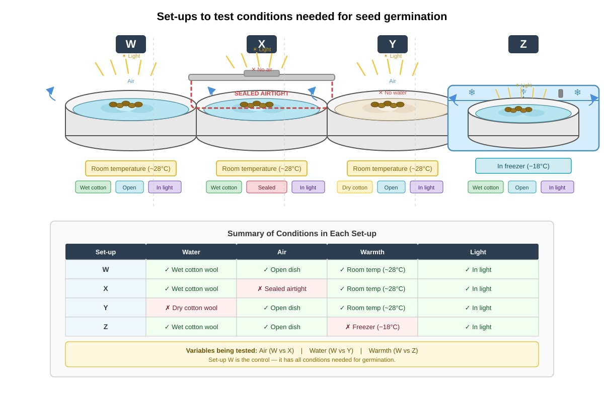 Experimental Setup for Q33 (P4 Science)