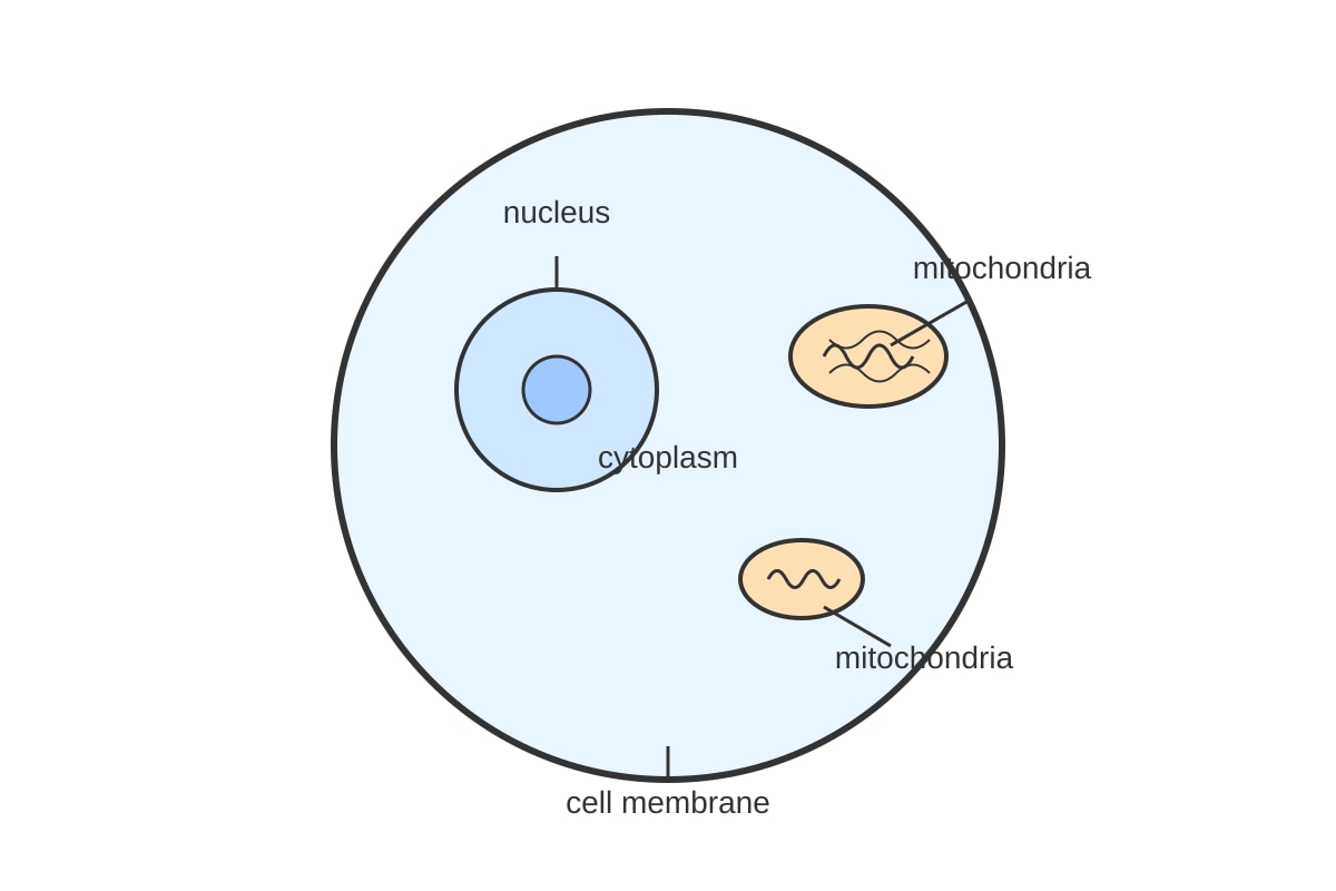 Diagram for Q8 (SEC4 Combined Sci Bio)