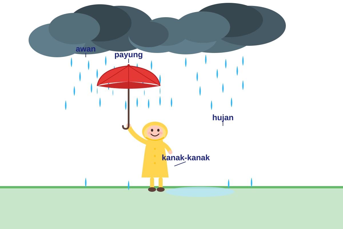Figure for Q17 (P2 Malay)