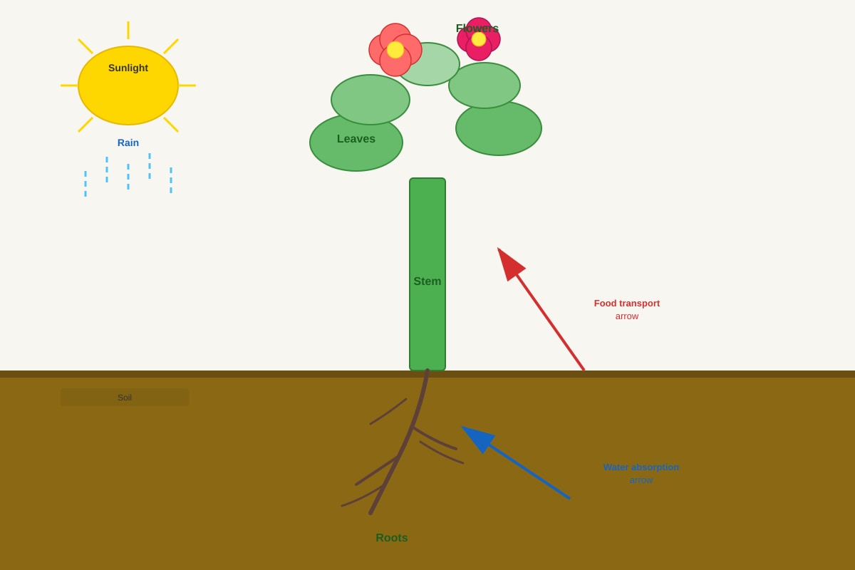 Diagram for Q25 (P4 Science)