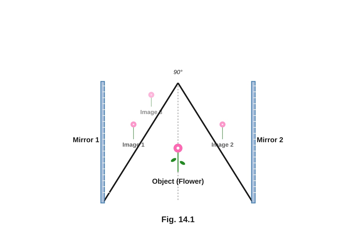Diagram for Q14 (P4 Science)