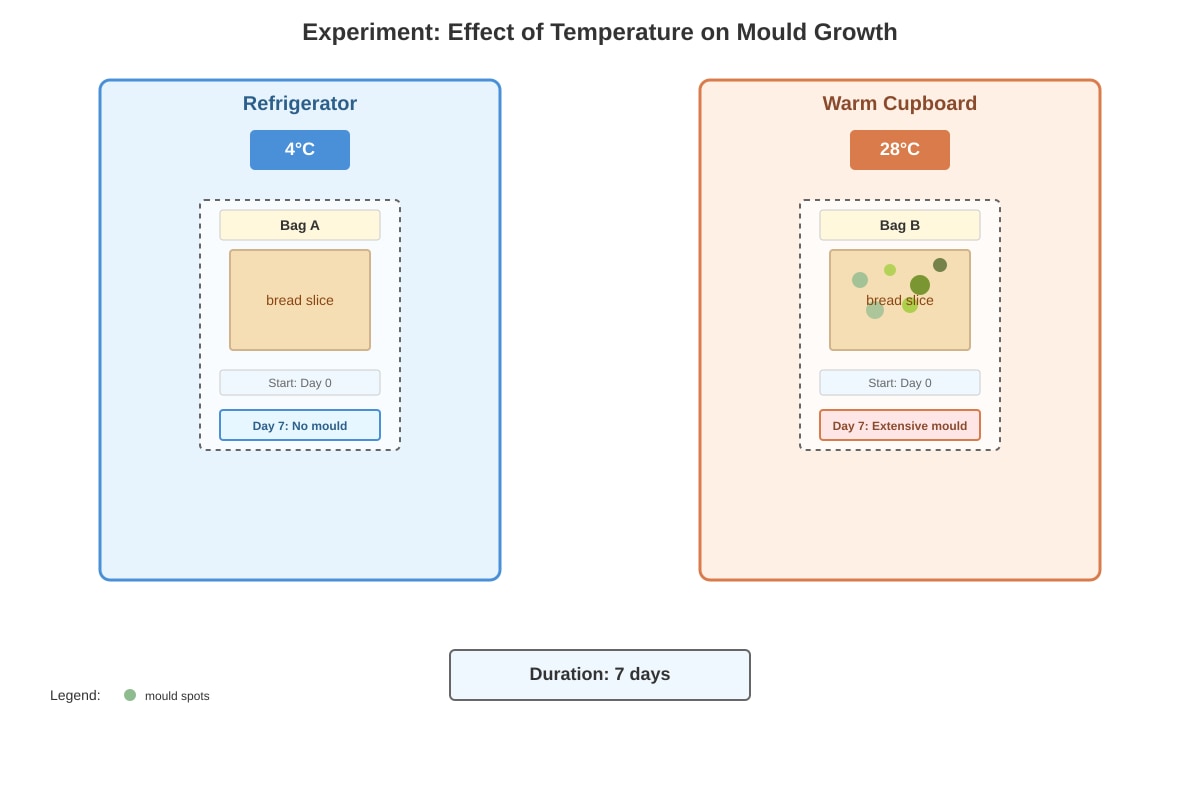 Experimental Setup for Q8 (P5 Science)