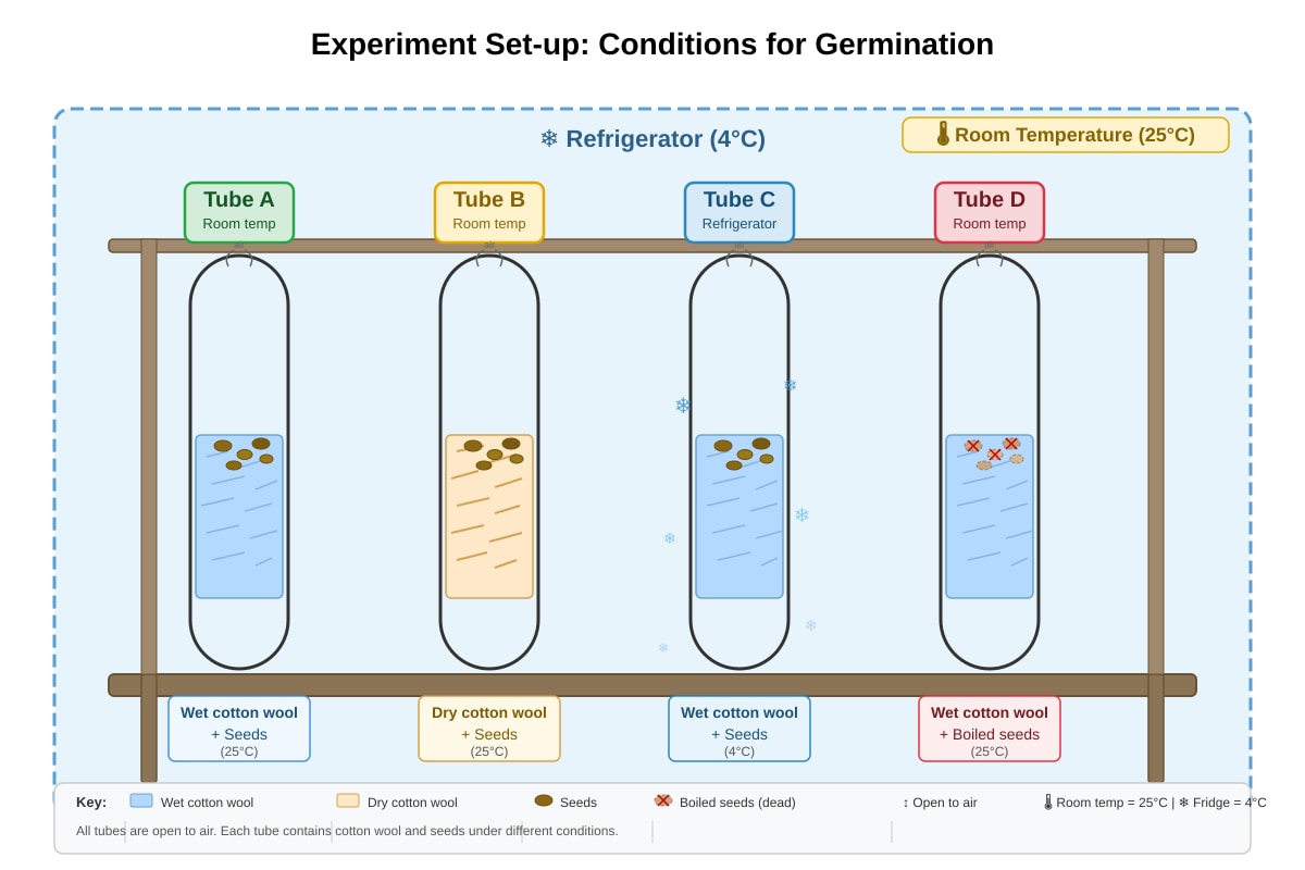 Experimental Setup for Q34 (P6 Science)