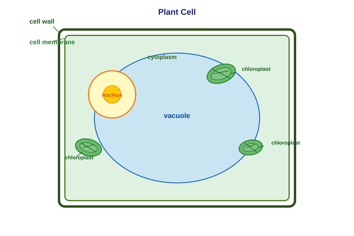 Diagram for Q7 (P5 Science)