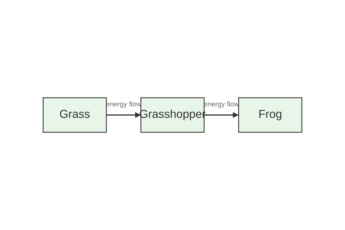 Diagram for 5 (P6 Science)
