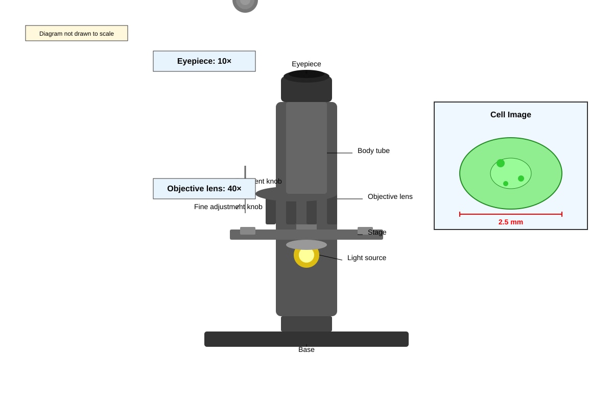 Diagram for placeholder 3 (SEC1 Science)